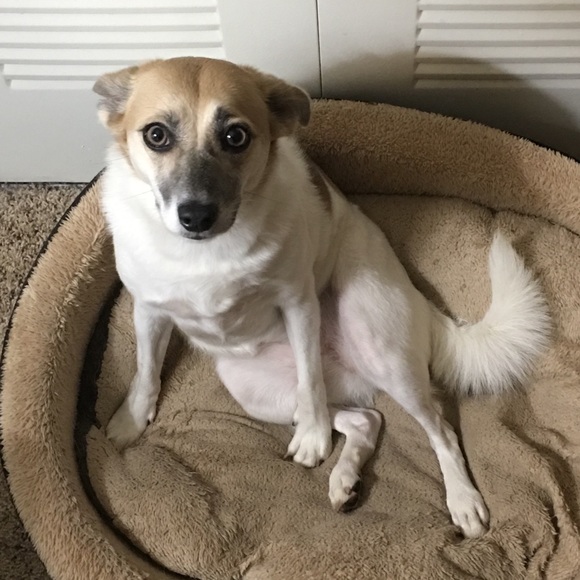 Meet your Posher, Alisa - Picture 8 of 8